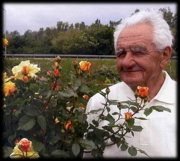 Márk Gergely nemesítői munkásságát fémjelzi a több mint 600 törzskönyvezett fajtája.