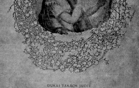 A ki a' haza-szeretet szent oltárán áldozik fenn marad annak neve 's a késı maradék áldani fogja. B. Wesselényi Miklós" 1.