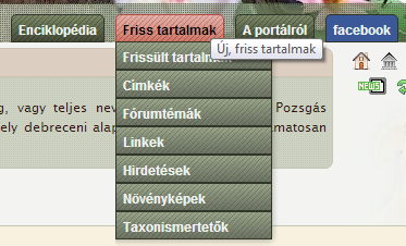 Összefoglalva a bejelentkezett azonosított - részt tud venni a fórumban, hirdetést tud feltenni, a növényekről képet tud beküldeni és a link adatbázist tudja bővíteni.