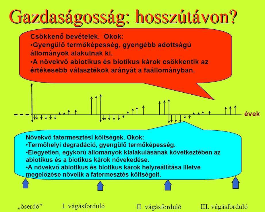 Gazdaságosság vágásos