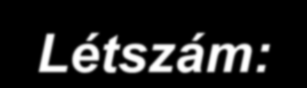 Személyi feltételekben probléma Létszám: csatolt munkakörök, alacsony óraszám, nincs összhangban a megadott személy a gondozási naplóban aláíróval.