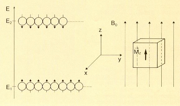 Egyensúlyi (makroszkopikus) mágnesezettség B 0 N N E 2 e kt 1 M z termikus egyensúly a két állapot között folyamatos átmenetek zajlanak ( hőmozgás) állapotok betöltöttsége Boltzmann-eloszlás