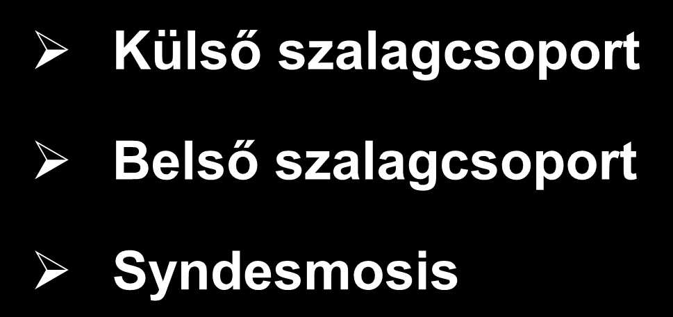 FELSŐ UGRÓÍZÜLET STABILITÁSÁST BIZTOSÍTJÁK A bokaízület stabilitását