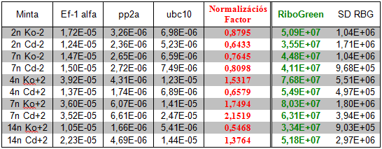 Kvantitatív Real-Time PCR Példa a minták elnevezésére: 7n Ko-2 = hétnapos Kontroll, alsó levél 7n Cd+2 = hétnapos Cd-kezelt, felső levél A relatív mennyiségi meghatározás alapját Standard görbe