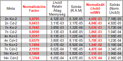 Kvantitatív Real-Time PCR 13.10. Táblázat. Az ABI Prism 700 SDS szofterrel kiértékelt reakció. Ct értékek és a Standard görbe alapján számolt relatív Lhcb5 GOI mennyisége a 10 kísérleti mintában.