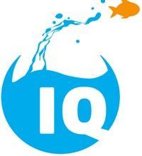 Az IQvíz ügyfélbarát szolgáltatók program résztvevőit ügyintézési csatornánként