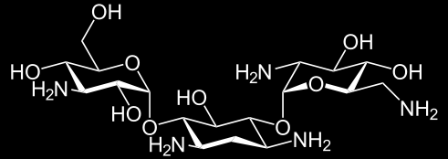 HEPES (2-[4-(2-hidroxietil)piperazin1-il]etánszulfonsav) IPTG (izopropil-β-d-1-tiogalaktopiranozid) Kanamycin K-HEPES HEPES