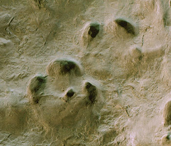 7.3. Melléklet: 1.