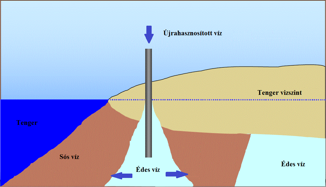 Mesterséges dúsítás (kutas).