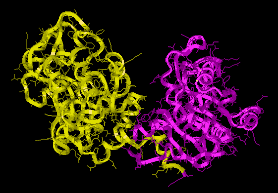 1. 2. Több doménbõl, ill. több alegységbõl álló fehérjék összeszerelõdése A több doménbõl álló fehérjék felgombolyodása 1. Domének 2. Izolált domének felgombolyodása 3.