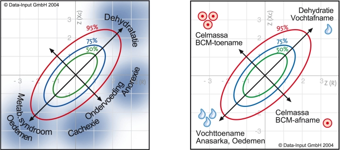 BIA-vektorgráfok: Villámdiagnózis a testvízre valamint az izom- és belso szervsejt tömegre BCM-re vonatkozólag.
