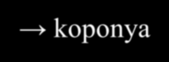 Nem mozgékony kapcsolat : - Varrat koponya - Porcos bordák, csigolyatestek, medence és keresztcsont Mozgékony: - Izmos vállöv és a törzsváz - Ízület: két vagy több csont ízületi porccal borítva +