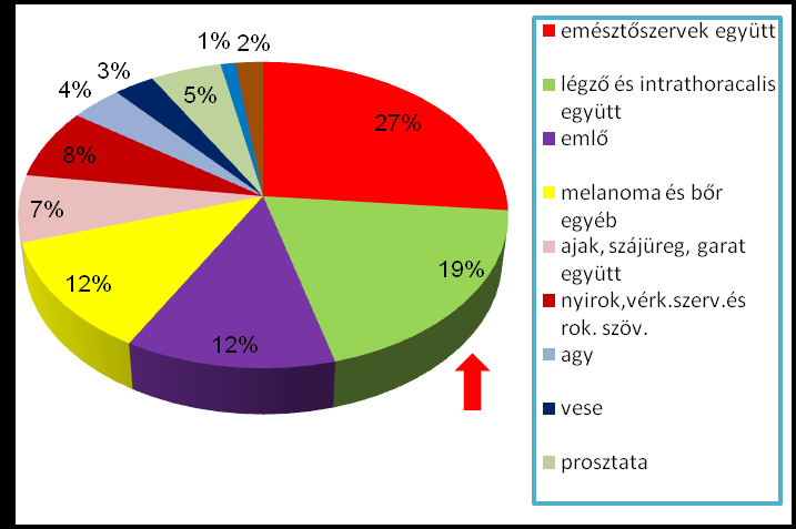 Rosszindulatú daganatok okozta betegségek megoszlása főbb lokalizáció szerint Férfiak Nők Rosszindulatú