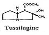 Pirrolizidin alkaloidok Észterképző savak, (un. necinsavak): C 5, C 7, C 8 v.
