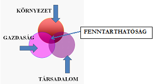 X. A KÖRNYEZETI NEVELÉS ÉS A FENNTARTHATÓSÁG PEDAGÓGIÁJA 2. ábra.