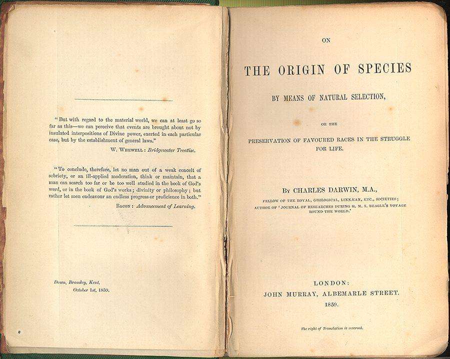 A TUDOMÁNY SZÍNRE LÉP Boucher de Perthes (1788-1868) vámtiszt Charles Darwin (1809-1882) Abbeville melletti teraszok kutatása