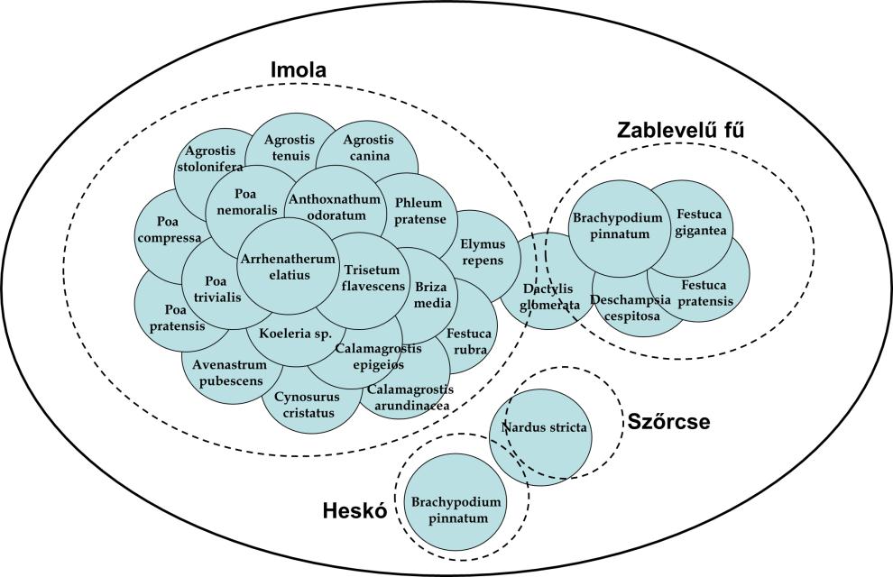További Salix-taxonok: ficfa (fűzfa) - a patakok mentén gyakran ültetett Salix fragilis; pimpó (pimpófa) - Salix daphnoides: barkás ágát (barka=pimpó)