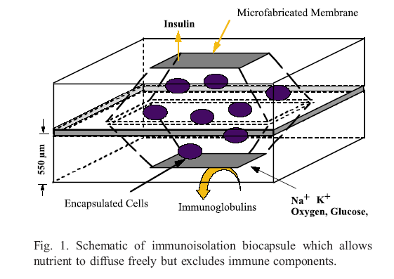 Immunoizoláció-sejt enkapszulálás Nanoporous Silicone-based