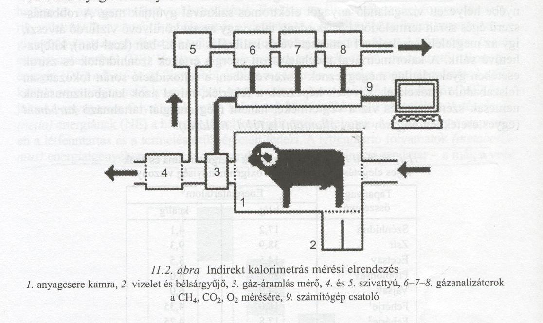A takarmány energiatartalmának meghatározása Direkt kalorimetria a takarmány bombakaloriméterben való elégetése vagy az állat által termelt hőmennyiség mérése Indirekt