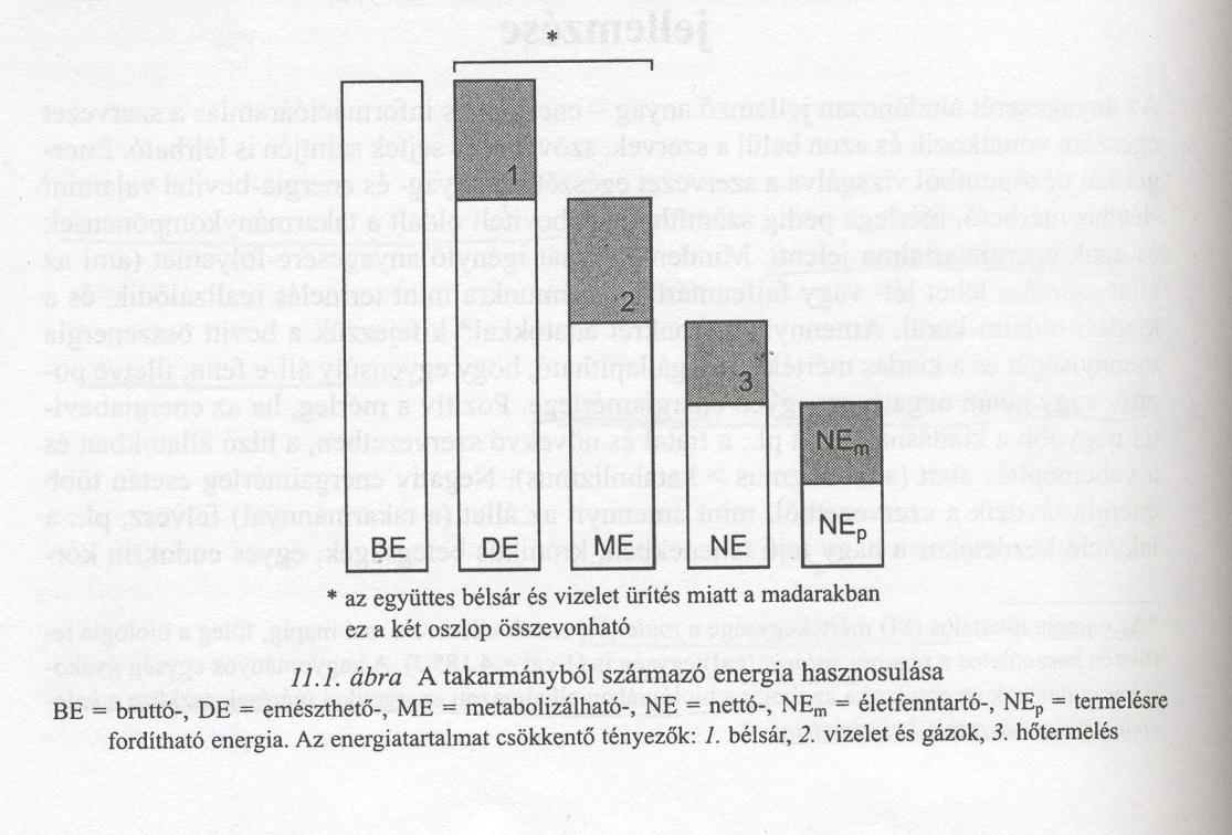 A takarmányból