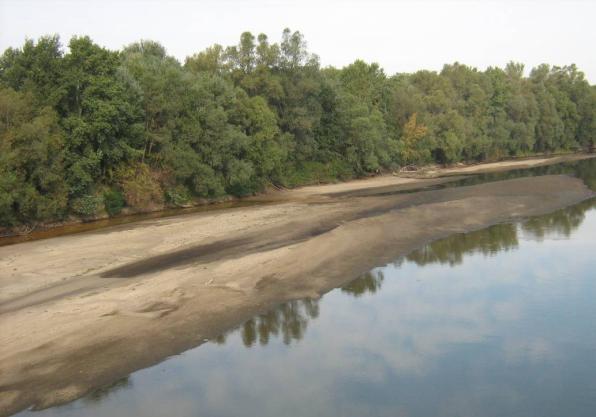 DOCUMENTAŢIA PENTRU REALIZAREA CANALULUI În vederea realizării documentațiilor pentru realizarea canalului navigabil și a debarcaderelor s-au realizat anchete geodezice pe râul Someș, care prezintă