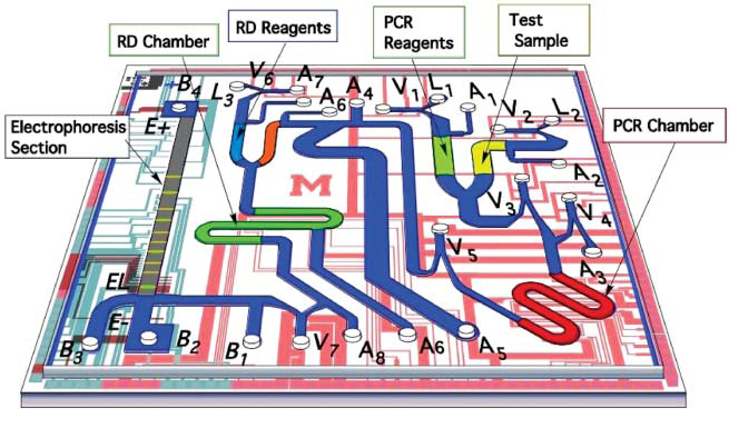 Esettanulmány: Lab-On-a-Chip Az