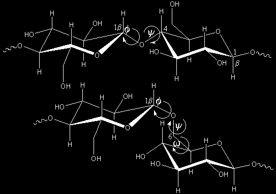 4.3.) Diszacharidok