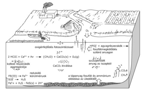 Savak erőssége Hidrolízis HS + H 2 O H 3 O + + S - K s = a H + a S a HS Vegyületek víz hatására lejátszódó bomlása Gyenge bázisok sói: savasan hidrolizálnak NH 4 Cl + OH - NH 4 OH + Cl - Gyenge savak