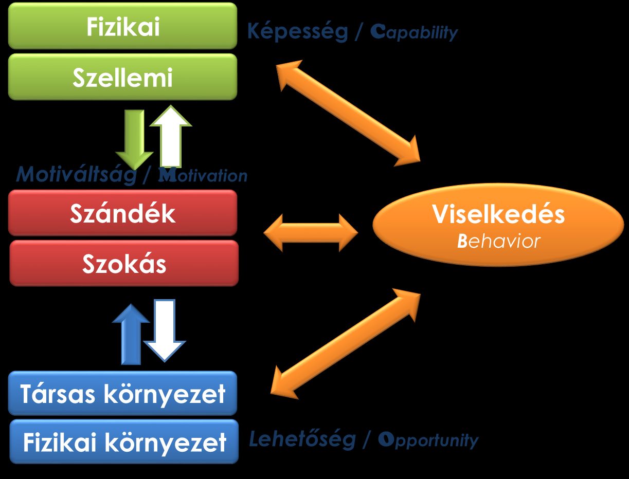 világképének alakításában jelentkezik, és mint egy szemüveg vagy szűrő az ismeretek átvételének, befogadásának befolyásolásával az egyén tudását, mint szerzett tulajdonságot is meghatározzák.