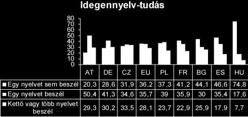 Azonosított Problémák 13.