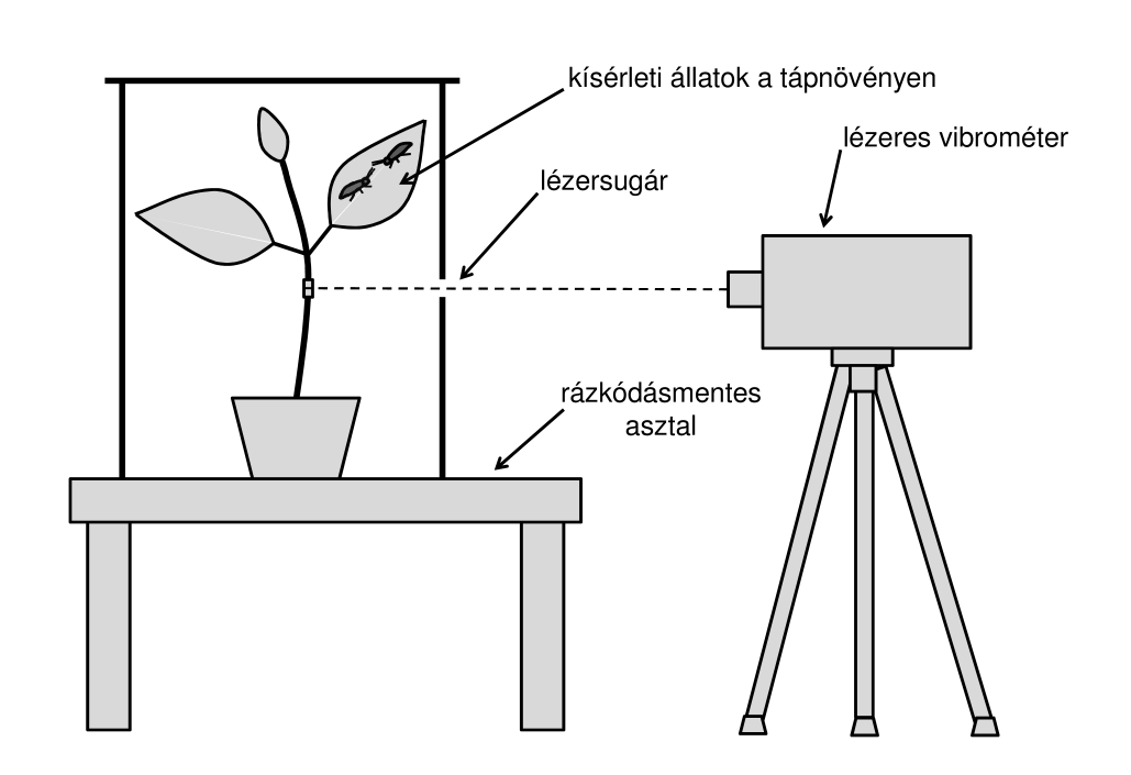 19. ábra A Doppler-elv alapján működő lézeres vibrométerrel végzett mérések egyszerűsített