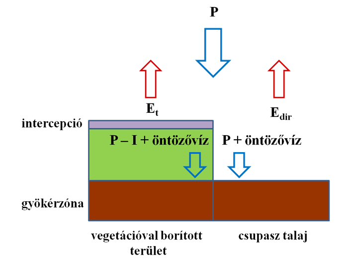 3. ábra: Az ülepedési modell vízháztartási almoduljának sematikus ábrája (Komjáthy, 2008a alapján).