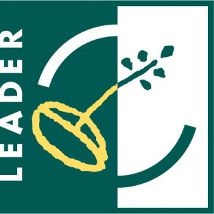 Az élethivatásszerű (professzionális) LEADER helyi akciócsoportok