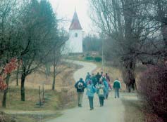 6 2004. október 16. Megjelenik minden szombaton! A lomblevelûek Sorozatunk elsõ részében az örökzöldekbõl kialakított sövényekrõl írtunk.