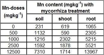 Microbial parameters with increased Mn doses Figure 2 shows the abundance of some culturable physiological groups of microorganisms according to increased manganese dose treatments.