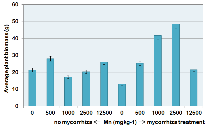 Figure 1. Measured plant biomass of Energy grass Szarvasi-1 at different doses of Mn-treatment in calcareous sandy soil Table 3.
