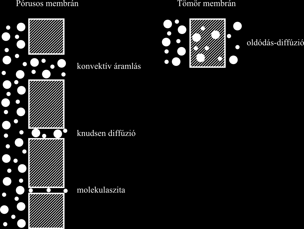 Membránműveletekkel kapcsolatos alapfogalmak 4. Knudsen-diffúzió esetén a gázmolekulák szabad úthossza nagyobb, mint a pórusátmérő. A molekulák mozgása függetlennek tekinthető egymástól.