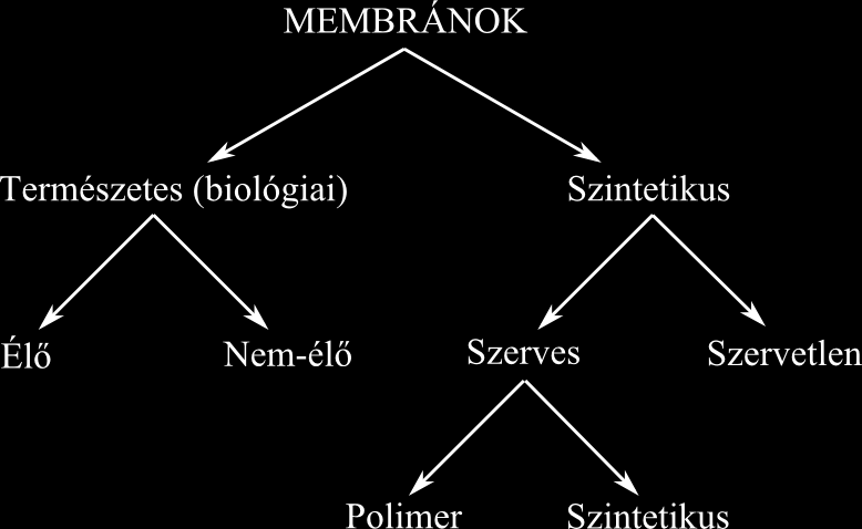 A membránok csoportosítása Folyadék Három egymásra rétegzett, de egymásban csak korlátoltan elegyedő folyadék alsó és felső fázisának komponensei a középső fázis által korlátozott mértékben