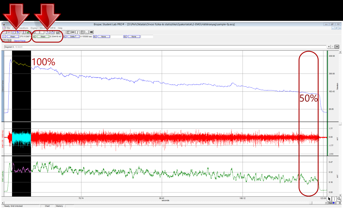 A markolóerő és a simított EMG közötti összefüggés meghatározása az összes, egyenként 2 másodperc hosszú izommunkaszakaszból (3. ábra): 1.