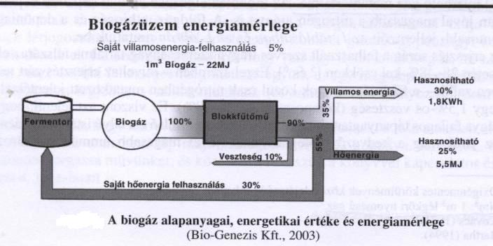 BIOGÁZ ÖSSZETÉTELE A mikrobák együttműködésével nyert gáz mintegy 50-70%-a éghető metánt, 28-48%-a éghetetlen CO2-ot és 1-2%-a egyéb gázt, elsősorban kénhidrogént és nitrogént tartalmaz.