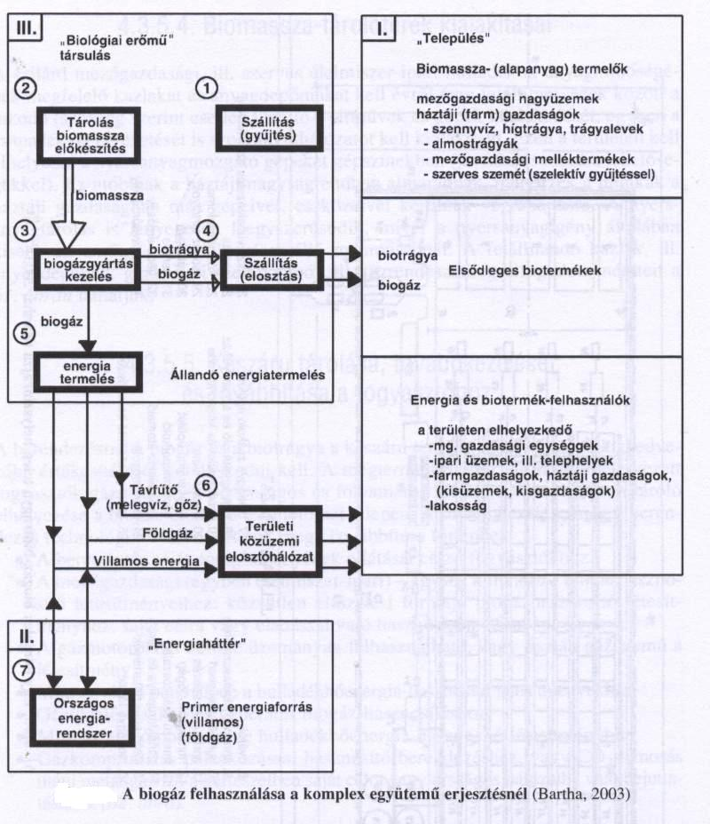 II. Felhasználás Ez az a biomassza-felhasználási mód, mely a legsokoldalúbb módon elégítheti ki a felhasználók igényeit: a (tisztított) biogáz fűtésre(biogázégőkkel, blokkfűtővel)), hűtésre,