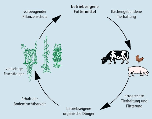 Régi-új trend: körforgásos gazdálkodás a fenntartható fejlődés egyik alapköve A biológiailag lebomló hulladék hasznosításának elve: elő kell segíteni a biológiailag lebomló hulladék elkülönített