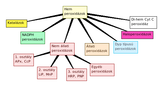 1.4.1. A hem peroxidázok klasszikus csoportosítása A hem fehérjék több ezer fehérjéből álló családjába tartoznak a hem peroxidázok, amelyek minden élőlényben megtalálhatóak.
