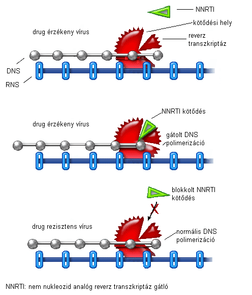Nem nukleozidanalóg reverz transzkriptáz