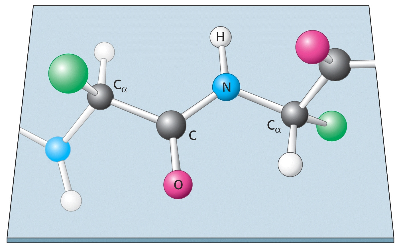 Poliamid polimerek: az amidkötés téralkata A határszerkezetek szemléltetik hogy 2 nemkötő elektronpár 3 centrumra (, C és ) delokalizálódik, így a C- kötésnek