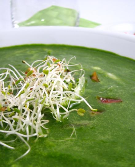 Levesek ZÖLDSÉGES SPENÓTLEVES Ez a leves egyszerű és ízletes módja annak, hogy nagy mennyiségű zöldséget, zöld levelet juttassunk a szervezetünkbe.