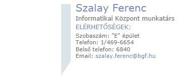 A munkatárs kiválasztását követően a név mezőben található EmployeeLink felirat a munkatárs nevének kitöltésével azonnal változik, de a megkülönböztetés végett érdemes kiegészíteni a nevet az -atvett