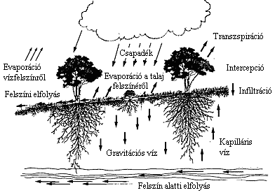 Vízforgalom