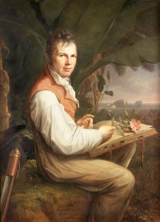 utazó - amerikai utazásai (1799-1804) Aimé Bonpland botanikussal - Chimborazo megmászása nagy növényzeti övek a hegyvidék lejtőin vertikálisan is