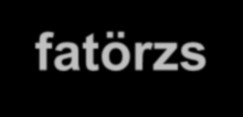 A hajtástengely (szár) és a